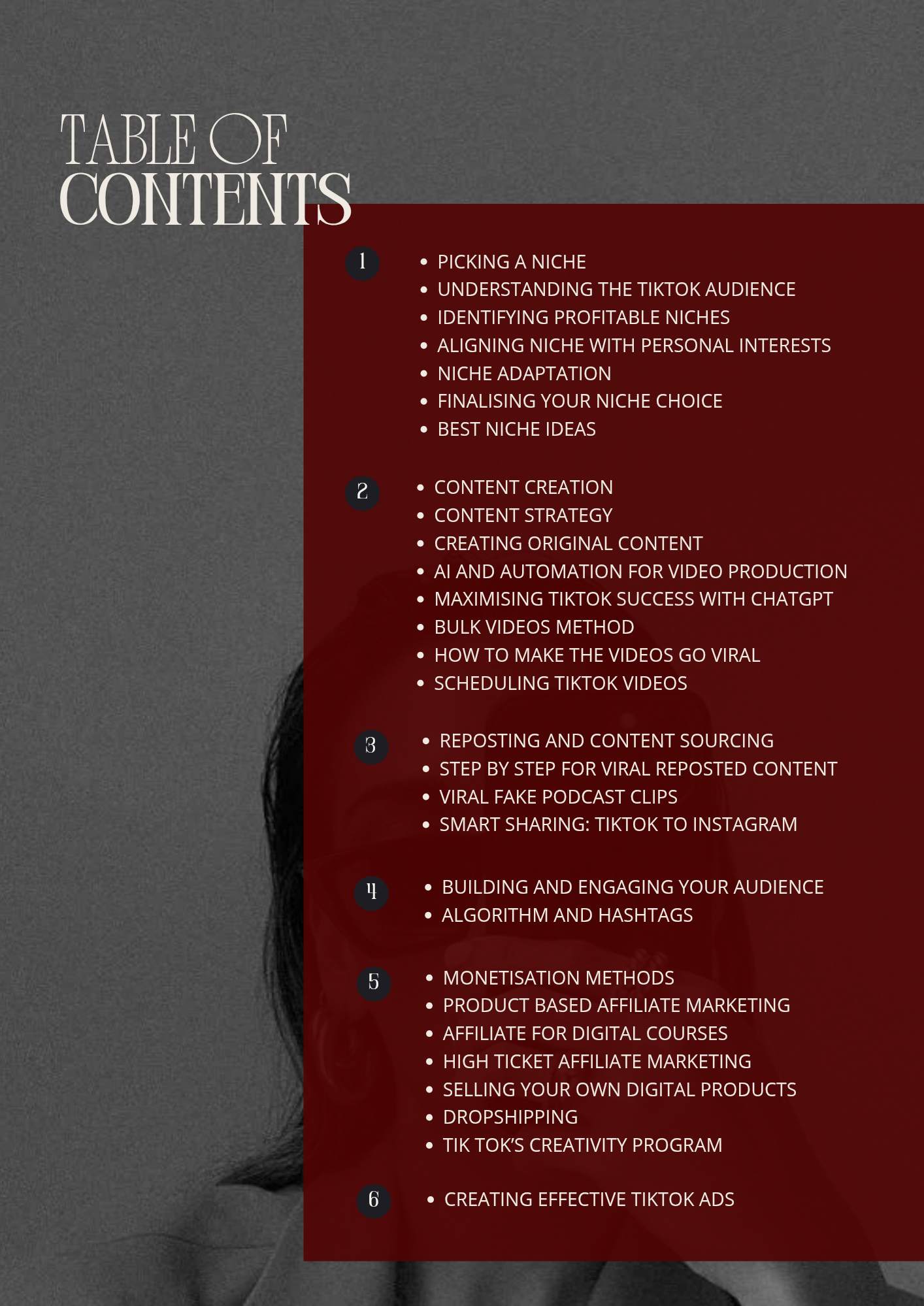 TikTok Marketing table of contents